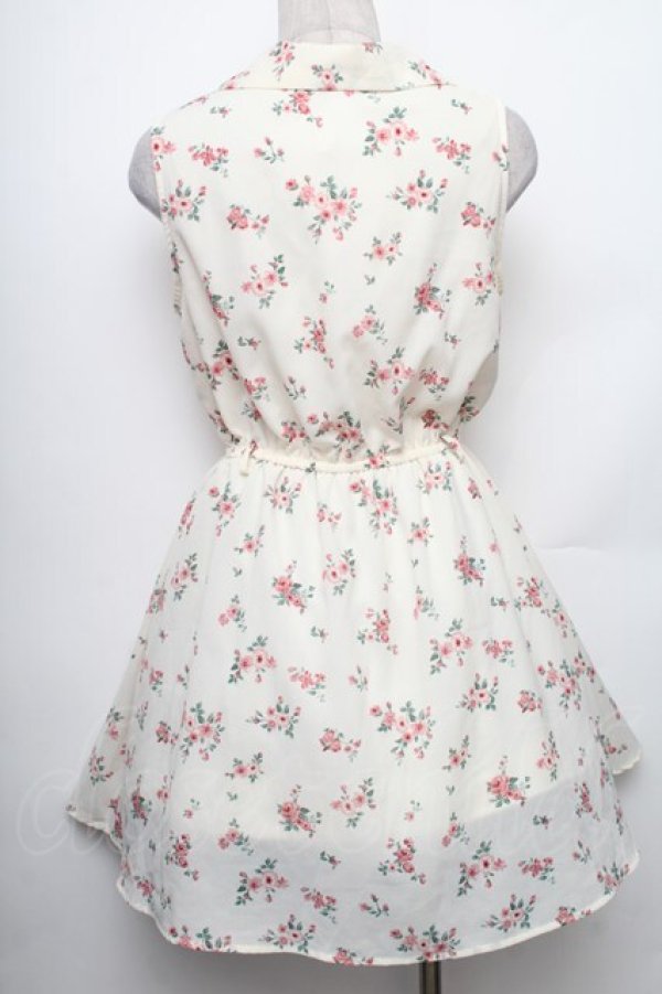 画像2: LOLITA / ローズ柄ノースリーブシフォンワンピース  キナリ S-26-01-28-038-LO-TO-HR-ZS (2)