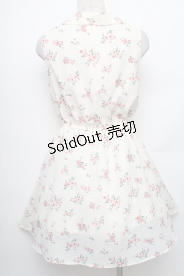 画像2: LOLITA / ローズ柄ノースリーブシフォンワンピース  キナリ S-26-01-28-038-LO-TO-HR-ZS (2)