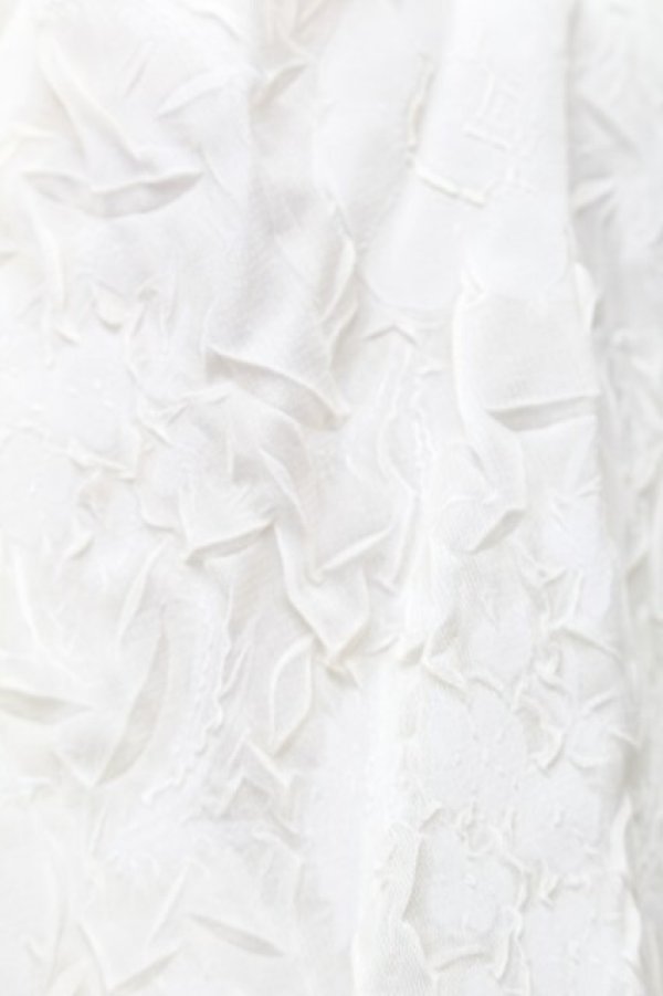 画像3: an another angelus / シアーシュリンクオフショルトップス F 生成り S-26-01-28-002-CA-TO-TE-ZS (3)