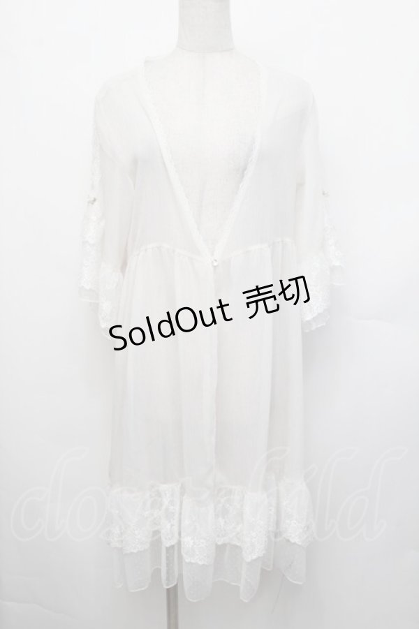 画像1: axes femme / シアー×チュールレースガウン F オフ S-26-01-29-018-AX-TO-TE-ZS (1)