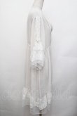 画像2: axes femme / シアー×チュールレースガウン F オフ S-26-01-29-018-AX-TO-TE-ZS (2)