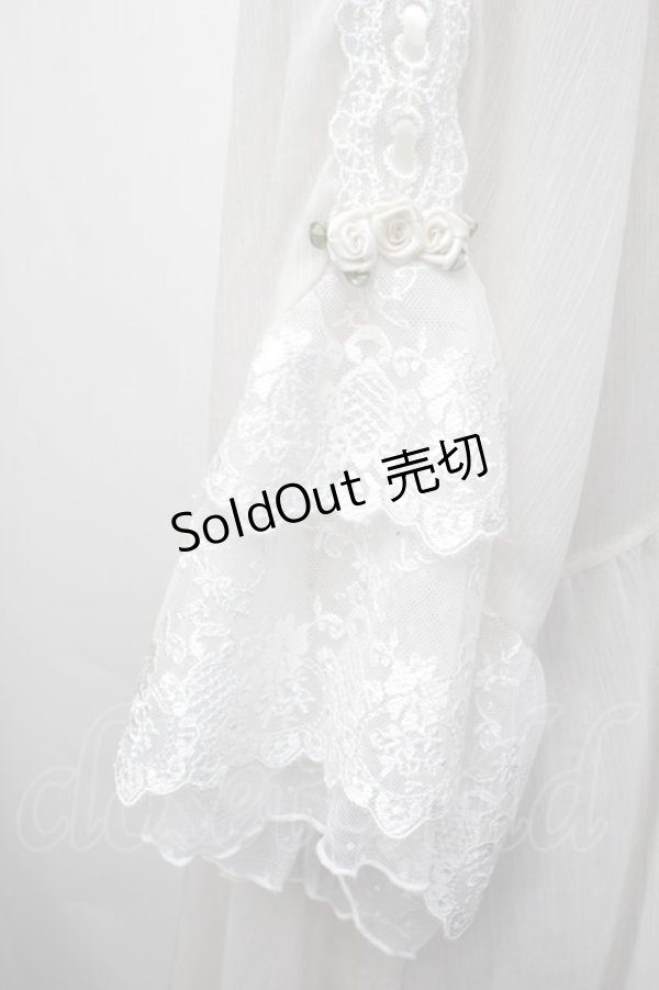 画像3: axes femme / シアー×チュールレースガウン F オフ S-26-01-29-018-AX-TO-TE-ZS (3)