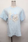 画像1: Nile Perch / プリントＴシャツ  サックス S-26-01-29-025-LO-TO-AS-ZS (1)