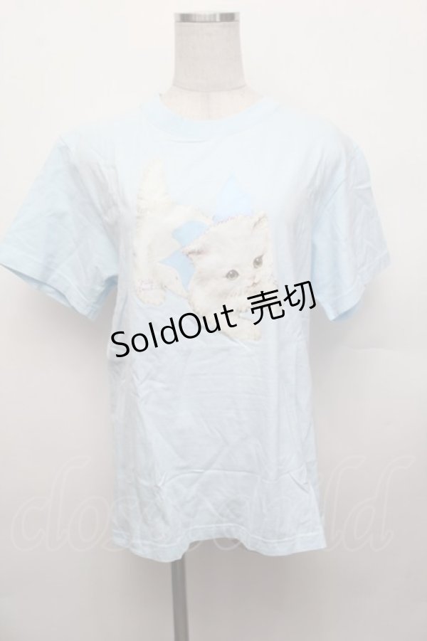 画像1: Nile Perch / プリントＴシャツ  サックス S-26-01-29-025-LO-TO-AS-ZS (1)