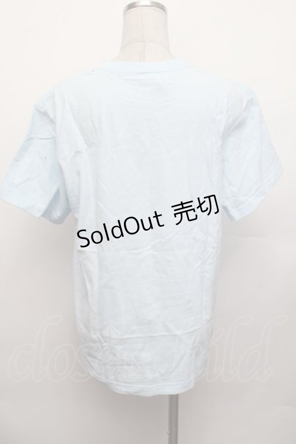 画像2: Nile Perch / プリントＴシャツ  サックス S-26-01-29-025-LO-TO-AS-ZS (2)