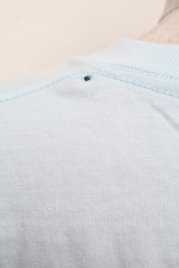 画像3: Nile Perch / プリントＴシャツ  サックス S-26-01-29-025-LO-TO-AS-ZS (3)