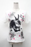 画像1: RNA / うさぎプリントTシャツ  白 S-26-01-31-1009-PU-TS-HR-ZS (1)