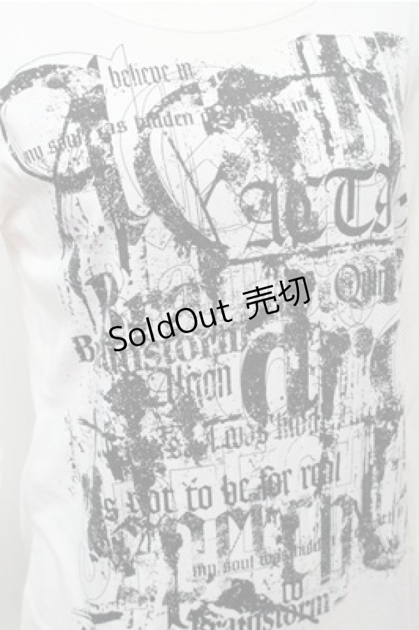 画像3: ALGONQUINS / プリントカットソー  白 S-26-01-31-027-AL-TS-HR-ZS (3)