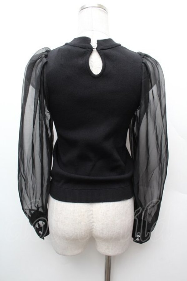 画像2: jouetie / シースルースリーブニット  黒 S-26-02-06-031-EL-TO-HR-ZS (2)