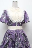 画像2: 中国ロリータ / フラワーフレームプリントワンピース XL パープル S-26-02-06-039-LO-OP-TE-ZS (2)