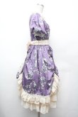 画像4: 中国ロリータ / フラワーフレームプリントワンピース XL パープル S-26-02-06-039-LO-OP-TE-ZS (4)
