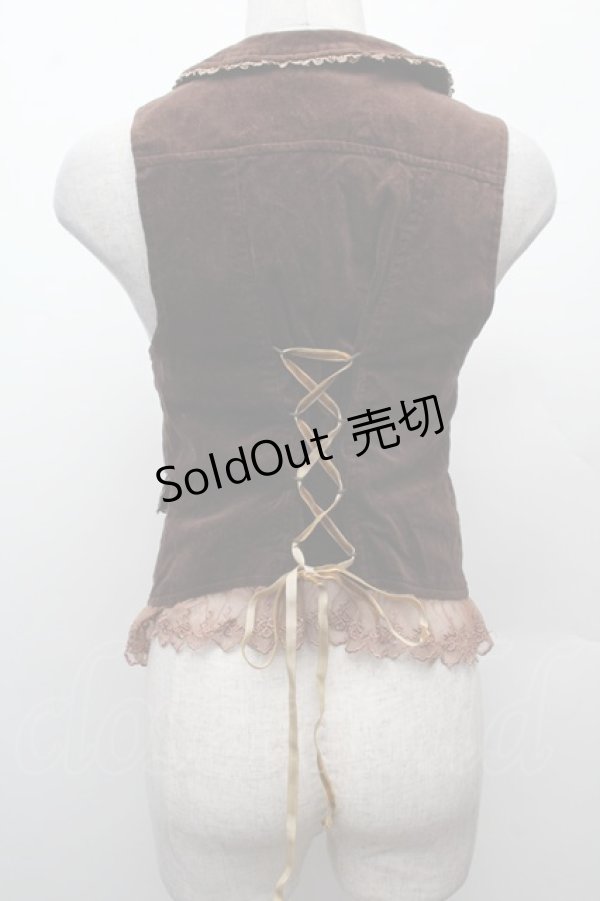 画像2: axes femme / バラ刺繍ベロアベスト  ブラウン S-26-02-09-016-AX-TO-HR-ZS (2)