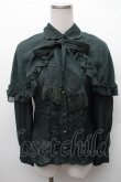 画像1: axes femme / ダークロマンティック刺繍ブラウス/Disneyヴィランズ  グリーン S-26-02-10-039-AX-BL-HR-ZS (1)