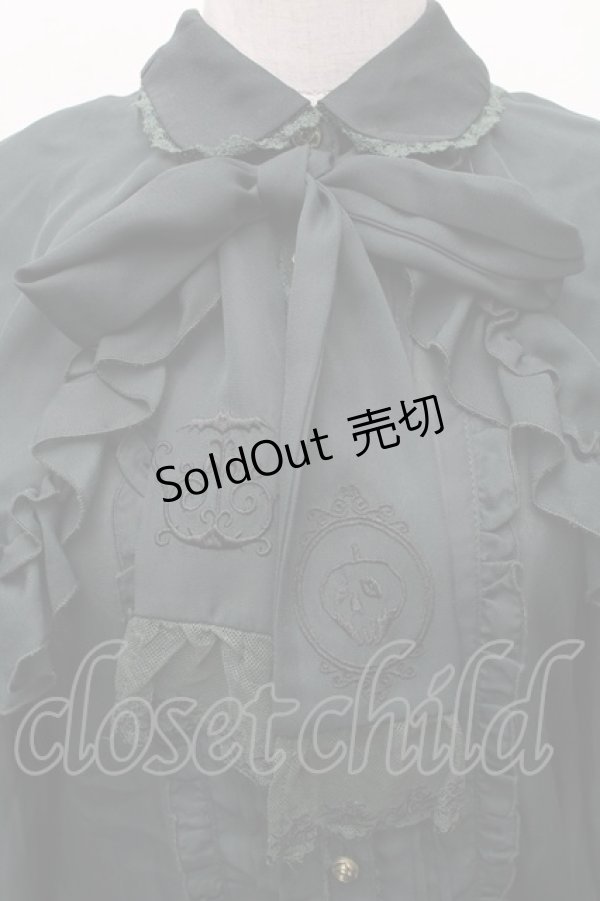 画像3: axes femme / ダークロマンティック刺繍ブラウス/Disneyヴィランズ  グリーン S-26-02-10-039-AX-BL-HR-ZS (3)