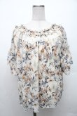画像1: axes femme / /お花シフォントップス  アイボリー S-26-02-18-034-AX-TO-HR-ZS (1)