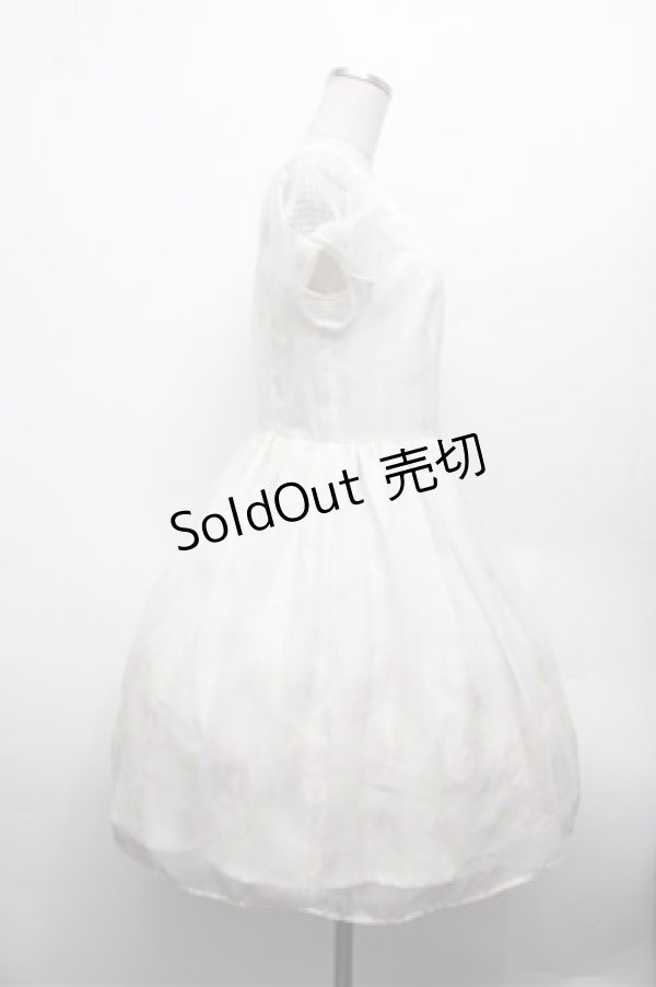 画像3: LODISPOTTO / プリントシフォンワンピース  オフ S-26-02-20-047-LO-OP-AS-ZS (3)