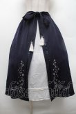 画像1: axes femme / スノー刺繍スカート  紺 S-26-02-28-054-AX-SK-HR-ZS (1)
