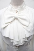 画像3: Forest Wardrobe（海外ロリータブランド） / South of the Forest ブラウス M 白 S-26-03-04-046-LO-BL-HR-ZS (3)