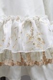 画像3: Precious CLOVE / 裾レースシフォンスカート  キナリ S-26-03-06-053-LO-TO-HR-ZS (3)