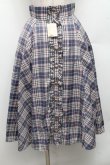 画像1: Secret Honey / チェック柄ロングスカート  ブルー S-26-03-08-053-CA-SK-HR-ZS (1)