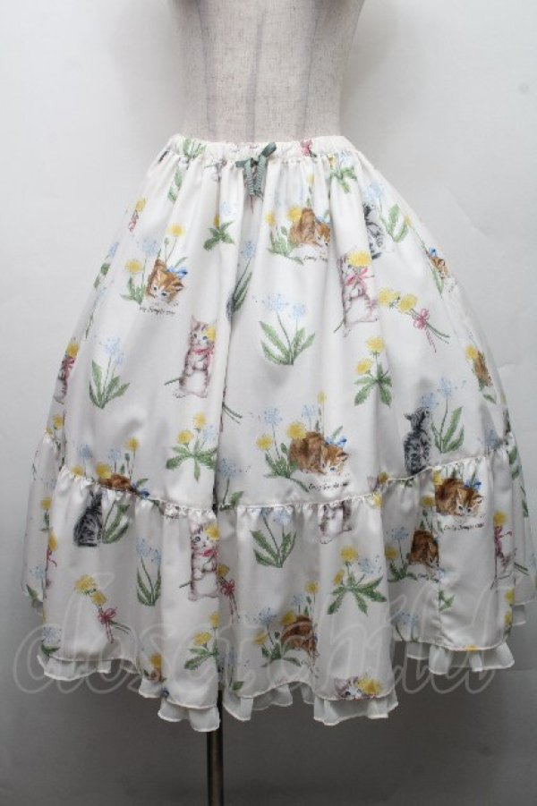 画像1: Emily Temple cute / DandeCATスカート  オフ S-26-03-17-050-ET-SK-AS-ZS (1)