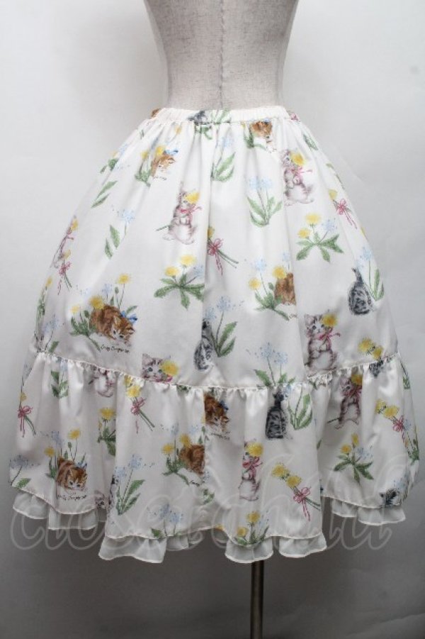 画像2: Emily Temple cute / DandeCATスカート  オフ S-26-03-17-050-ET-SK-AS-ZS (2)