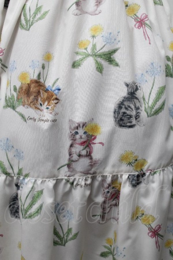 画像3: Emily Temple cute / DandeCATスカート  オフ S-26-03-17-050-ET-SK-AS-ZS (3)