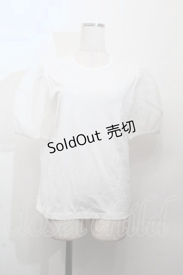画像1: Jane Marple / チュール袖Tシャツ  白 S-26-03-28-020-JM-TS-AS-ZS (1)