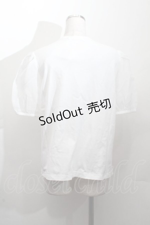 画像3: Jane Marple / チュール袖Tシャツ  白 S-26-03-28-020-JM-TS-AS-ZS (3)