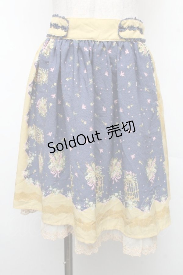 画像1: axes femme / スカート   S-26-04-01-1005-AX-SK-AS-ZS (1)