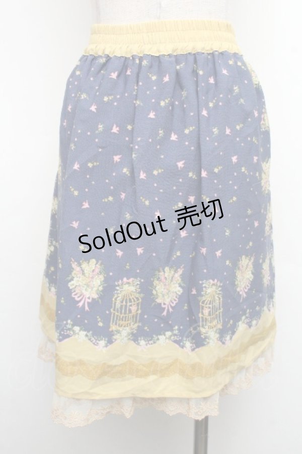 画像2: axes femme / スカート   S-26-04-01-1005-AX-SK-AS-ZS (2)