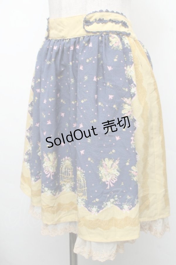 画像3: axes femme / スカート   S-26-04-01-1005-AX-SK-AS-ZS (3)