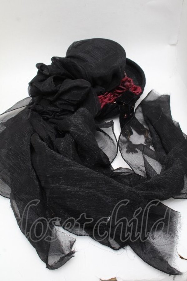 画像3: Hoshibako Works / 真夜中の囁きシルクハット  黒 S-26-04-04-048-LO-AC-HR-ZS (3)