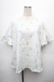 画像1: yukiemon / 総柄Tシャツ 3L オフ S-26-04-04-053-0-TO-AS-ZS (1)
