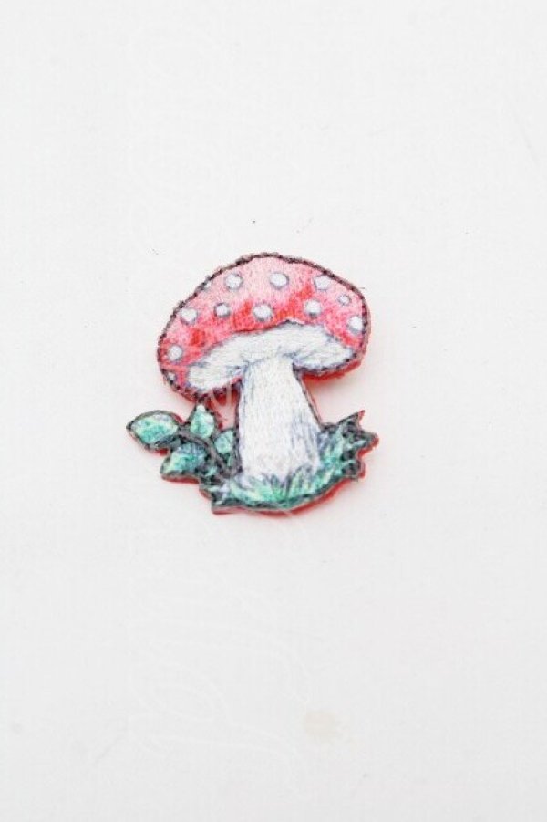 画像1: Franche Lippee / ブローチ   S-26-04-05-005-LO-ZA-AS-ZS (1)