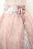 画像4: axes femme kawaii / チュールレーススカート  ピンク S-26-04-12-056-AX-SK-HR-ZS (4)