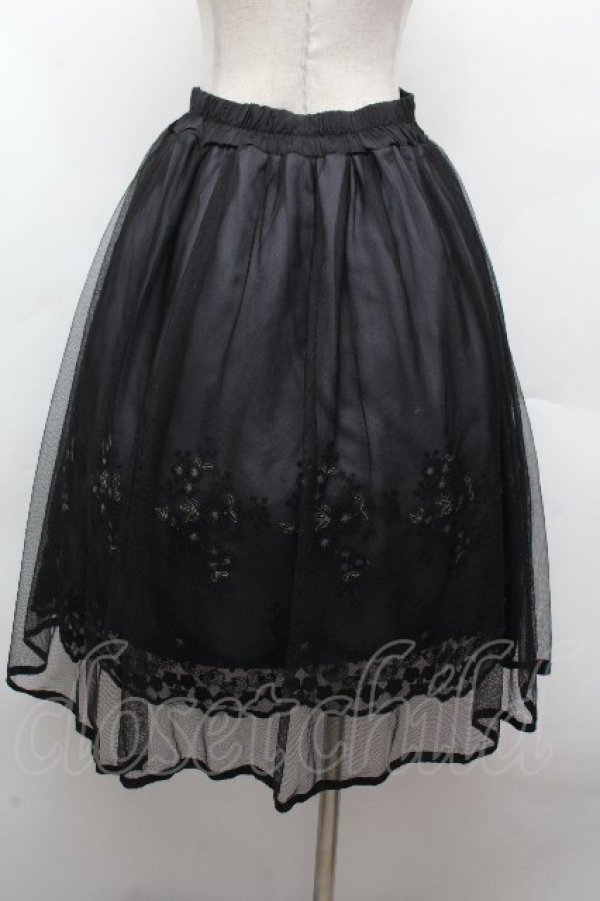 画像1: axes femme POETIQUE / お花刺繍チュールスカート  黒 S-26-04-12-060-AX-SK-HR-ZS (1)
