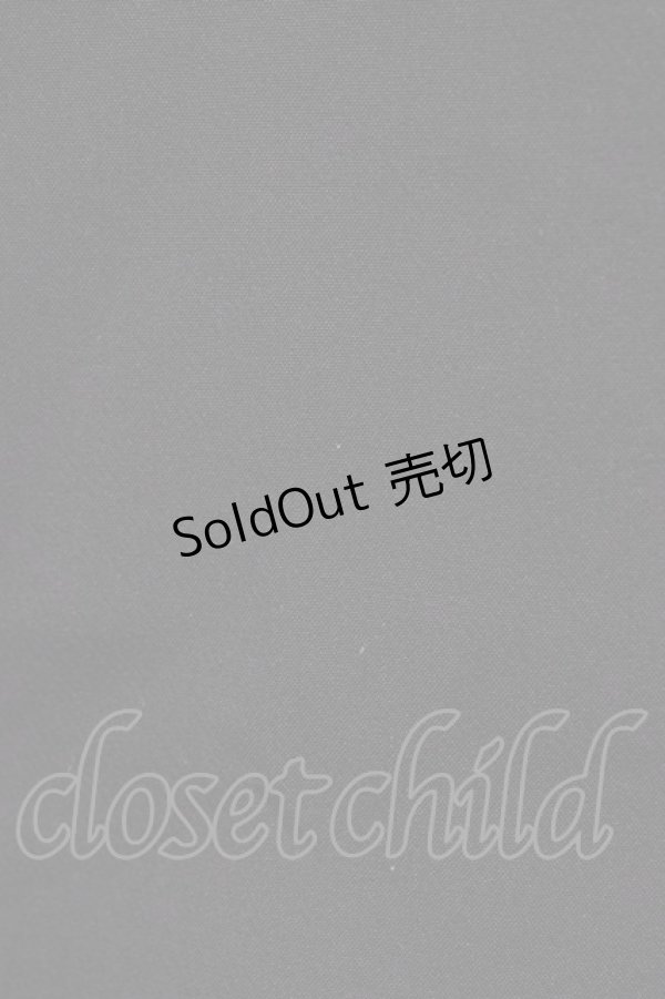 画像4: 【SALE】evelyn / スカート   T-23-11-09-032-LO-SK-UT-ZT302 (4)