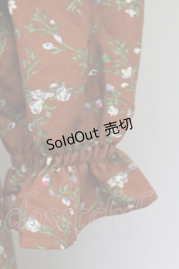 画像3: an another angelus / レース衿花柄ロングワンピース  ブラウン T-24-02-11-027-CA-OP-HD-ZT085 (3)