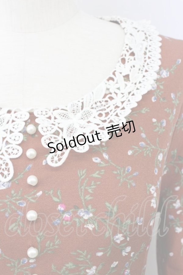 画像4: an another angelus / レース衿花柄ロングワンピース  ブラウン T-24-02-11-027-CA-OP-HD-ZT085 (4)