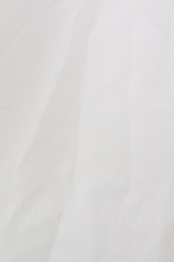 画像6: an another angelus / シフォンフリルトップス  アイボリー T-24-02-14-037-CA-TO-HD-ZT159 (6)