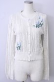 画像1: F&A / ローズ刺繍透かし編みカーディガン  アイボリーＸ青 T-24-11-07-035-LO-SK-HD-ZT144 (1)