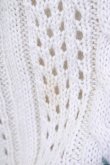 画像5: F&A / ローズ刺繍透かし編みカーディガン  アイボリーＸ青 T-24-11-07-035-LO-SK-HD-ZT144 (5)