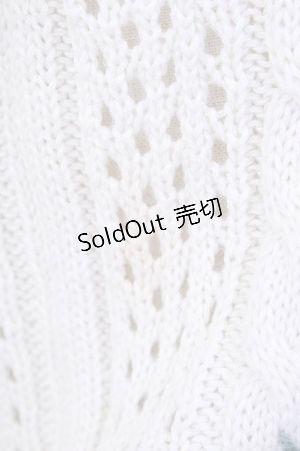 画像5: F&A / ローズ刺繍透かし編みカーディガン  アイボリーＸ青 T-24-11-07-035-LO-SK-HD-ZT144 (5)
