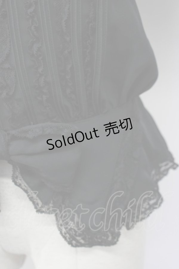 画像5: INGEBORG / レース&ピンタック半袖ブラウス  ブラック T-25-01-31-008-LO-BL-SA-ZT375 (5)