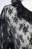 画像3: LOLITAその他(お買取対象外) / レースブラウス  黒 T-25-02-06-012-LO-BL-SA-ZT443 (3)