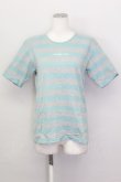 画像1: KANEKO ISAO / ボーダーTシャツ  グレー×サックス T-25-02-23-009-EL-TS-SA-ZT219 (1)