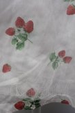 画像5: Ank Rouge / いちごシースルーキャミワンピース  ピンク T-25-03-08-023-CA-OP-SA-ZI (5)