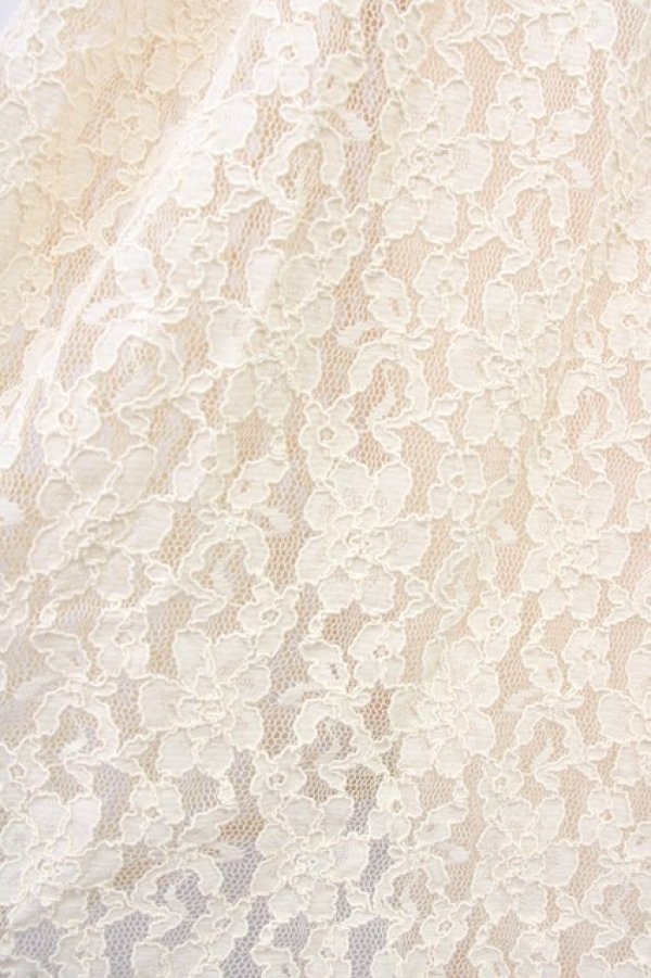 画像7: Fi.n.t / 丸衿総レースワンピース  アイボリー T-25-03-14-015-CA-OP-SA-ZI (7)