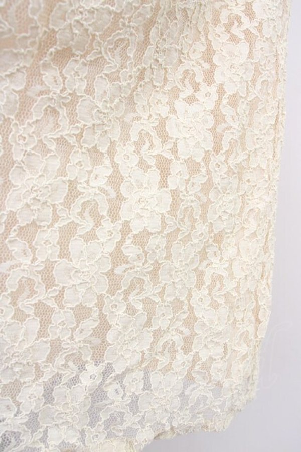 画像8: Fi.n.t / 丸衿総レースワンピース  アイボリー T-25-03-14-015-CA-OP-SA-ZI (8)